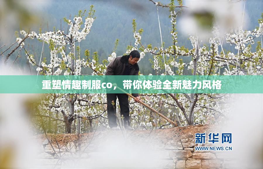 重塑情趣制服co，带你体验全新魅力风格