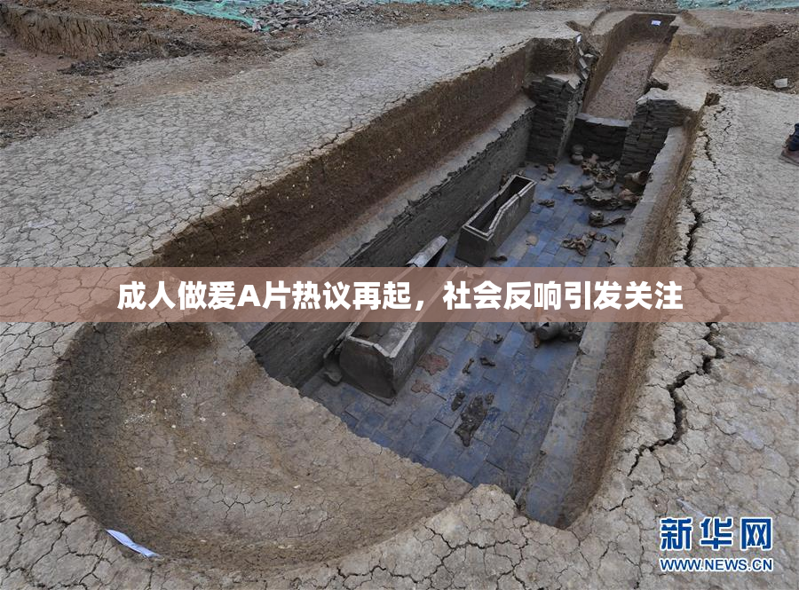 成人做爰A片热议再起，社会反响引发关注