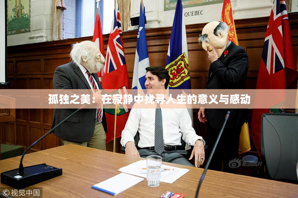孤独之美：在寂静中找寻人生的意义与感动