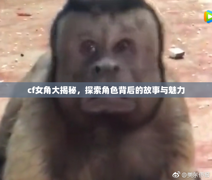 cf女角大揭秘，探索角色背后的故事与魅力