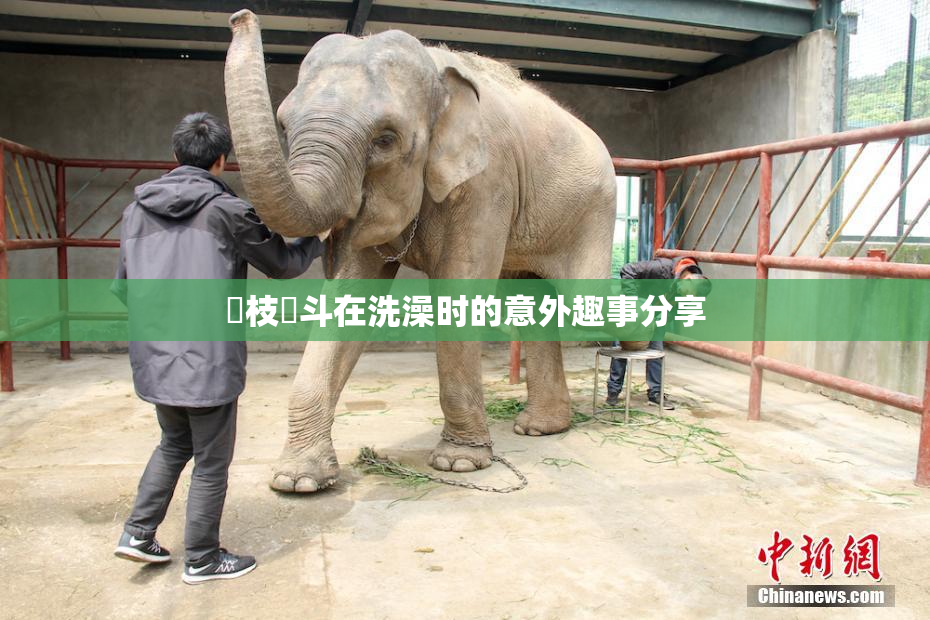 狛枝凪斗在洗澡时的意外趣事分享