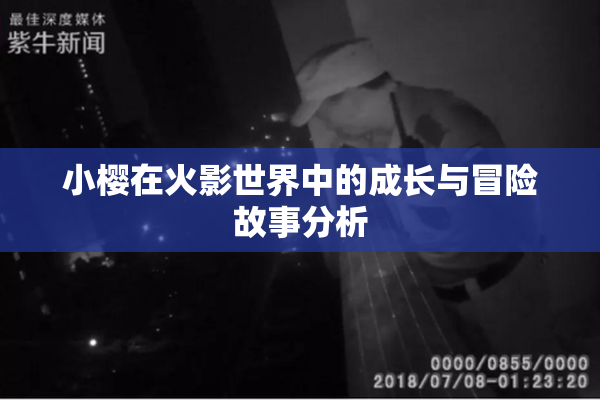 小樱在火影世界中的成长与冒险故事分析