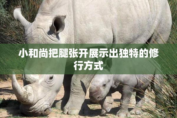 小和尚把腿张开展示出独特的修行方式