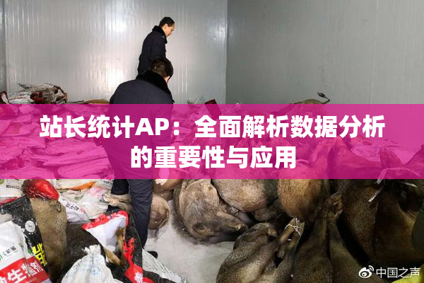 站长统计AP：全面解析数据分析的重要性与应用