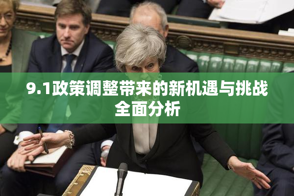 9.1政策调整带来的新机遇与挑战全面分析