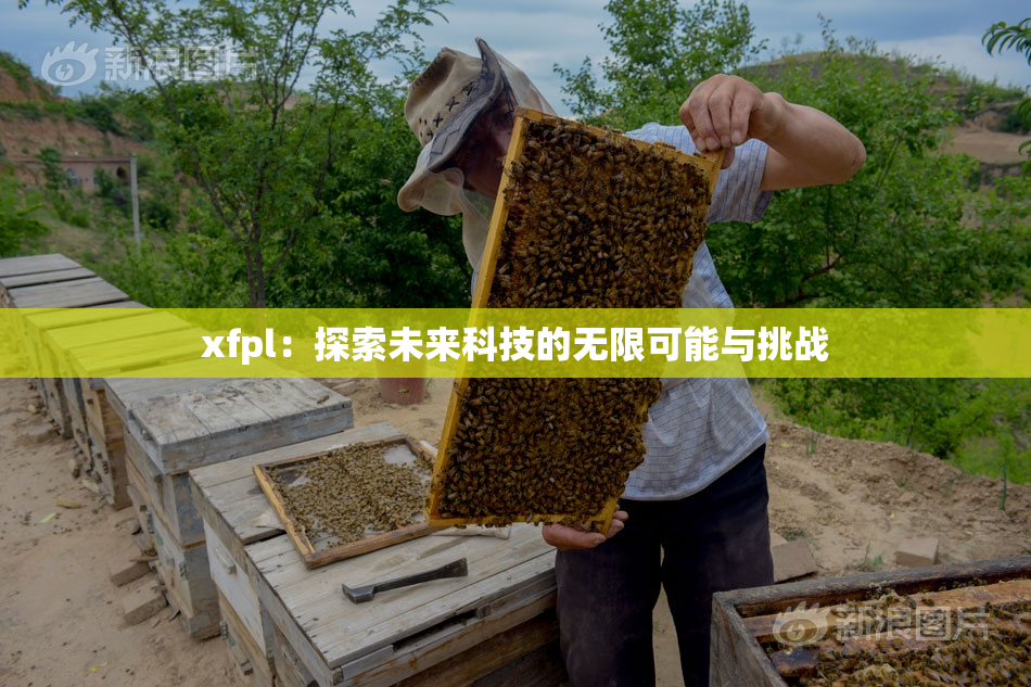 xfpl：探索未来科技的无限可能与挑战