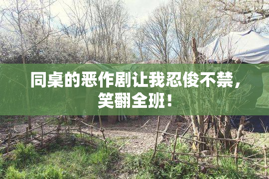 同桌的恶作剧让我忍俊不禁，笑翻全班！