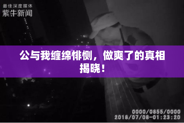公与我缠绵悱恻，做爽了的真相揭晓！