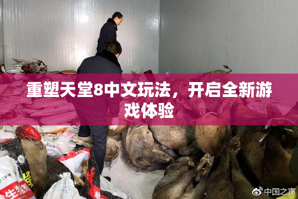 重塑天堂8中文玩法，开启全新游戏体验