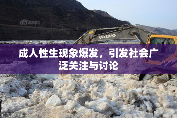 成人性生现象爆发，引发社会广泛关注与讨论