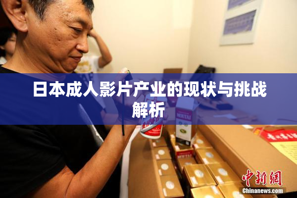 日本成人影片产业的现状与挑战解析