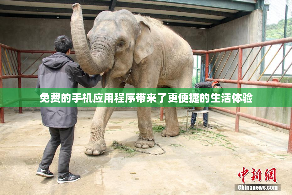 免费的手机应用程序带来了更便捷的生活体验