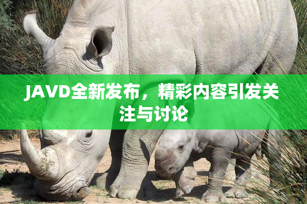 JAVD全新发布，精彩内容引发关注与讨论