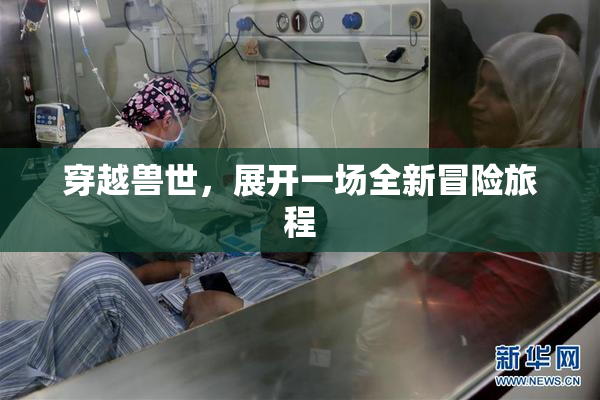 穿越兽世，展开一场全新冒险旅程