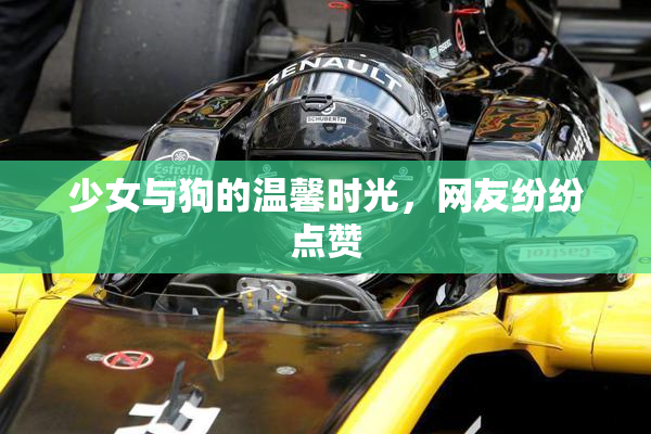少女与狗的温馨时光，网友纷纷点赞