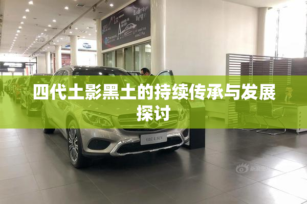四代土影黑土的持续传承与发展探讨