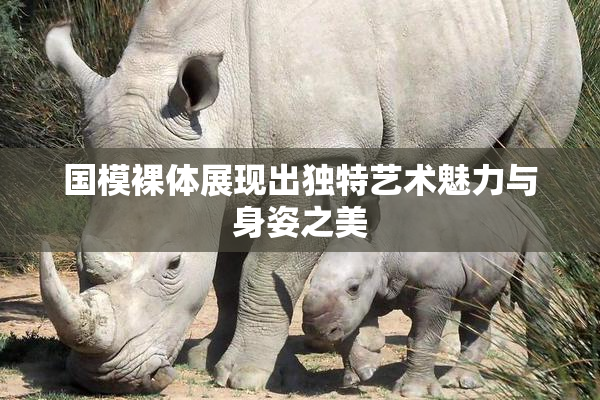 国模裸体展现出独特艺术魅力与身姿之美