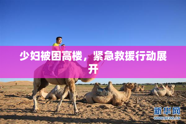 少妇被困高楼，紧急救援行动展开