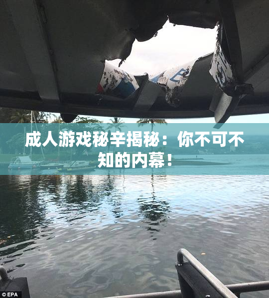 成人游戏秘辛揭秘：你不可不知的内幕！
