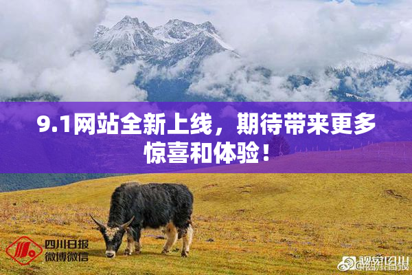 9.1网站全新上线，期待带来更多惊喜和体验！