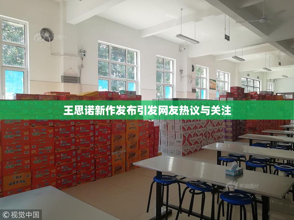 王思诺新作发布引发网友热议与关注