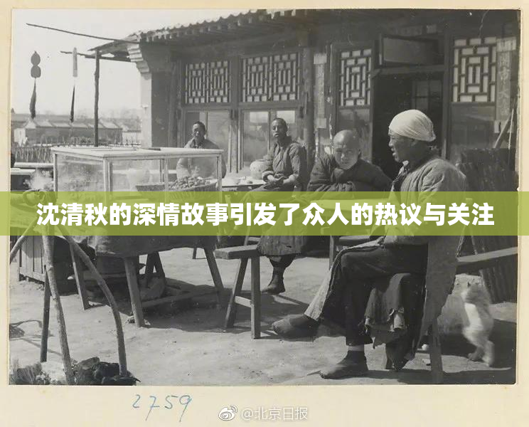 沈清秋的深情故事引发了众人的热议与关注