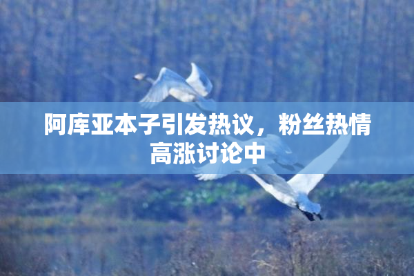 阿库亚本子引发热议，粉丝热情高涨讨论中