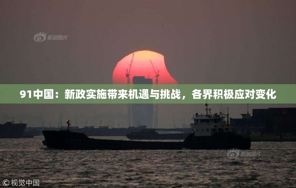 91中国：新政实施带来机遇与挑战，各界积极应对变化