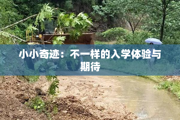 小小奇迹：不一样的入学体验与期待