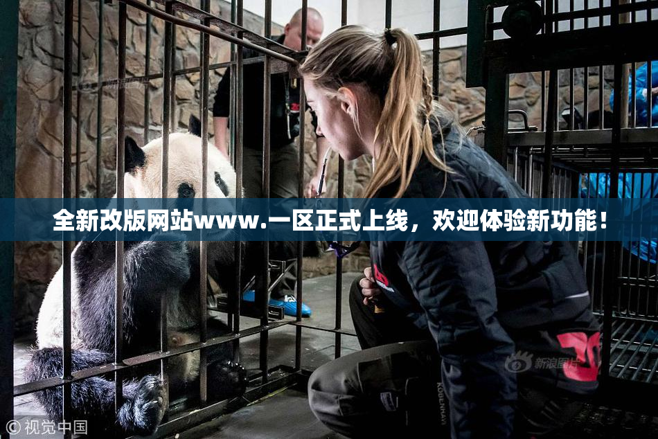 全新改版网站www.一区正式上线，欢迎体验新功能！