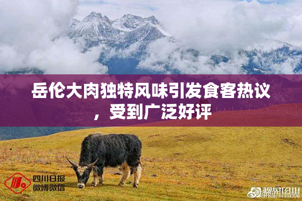 岳伦大肉独特风味引发食客热议，受到广泛好评