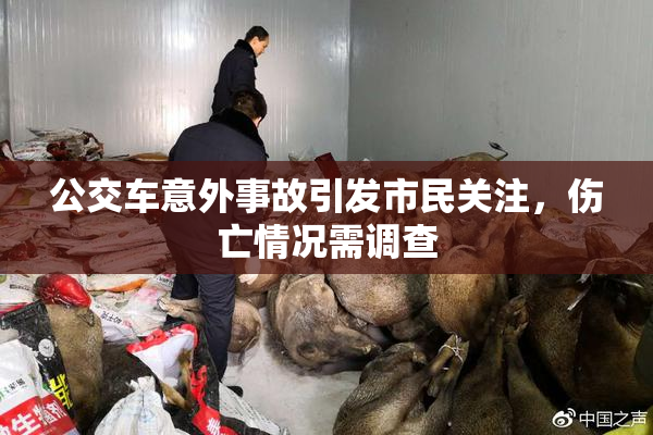 公交车意外事故引发市民关注，伤亡情况需调查