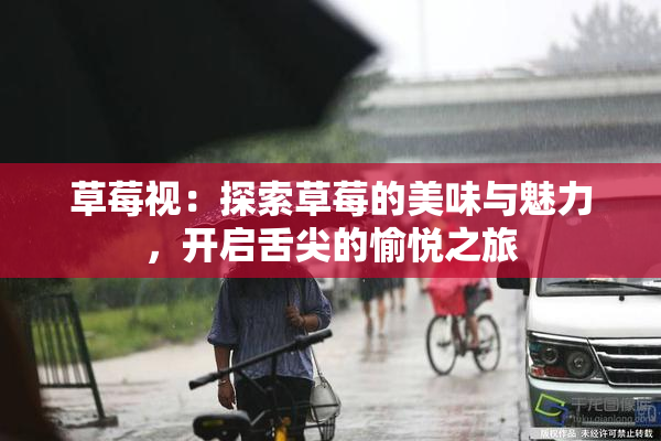 草莓视：探索草莓的美味与魅力，开启舌尖的愉悦之旅