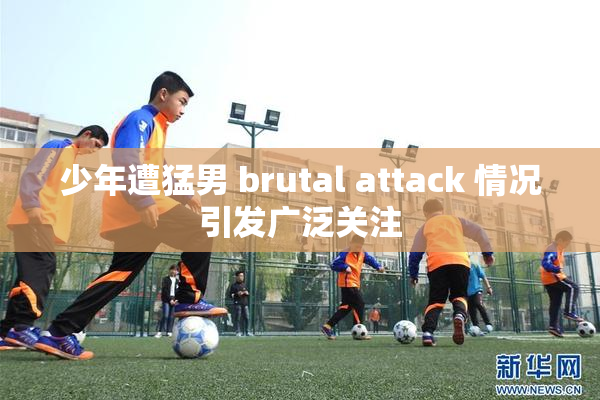 少年遭猛男 brutal attack 情况引发广泛关注