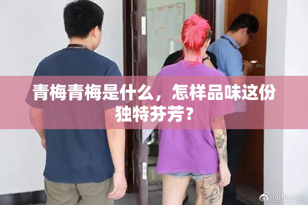 青梅青梅是什么，怎样品味这份独特芬芳？