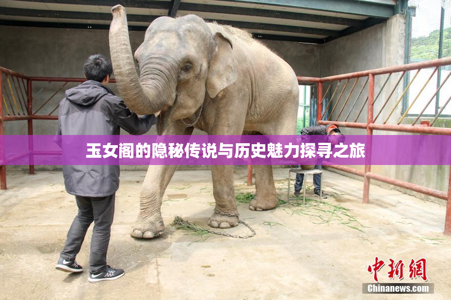 玉女阁的隐秘传说与历史魅力探寻之旅