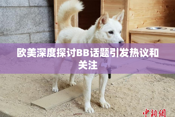 欧美深度探讨BB话题引发热议和关注