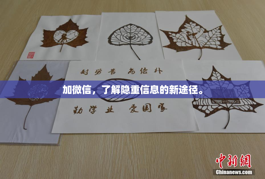 加微信，了解隐重信息的新途径。