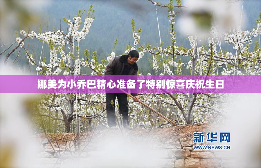 娜美为小乔巴精心准备了特别惊喜庆祝生日