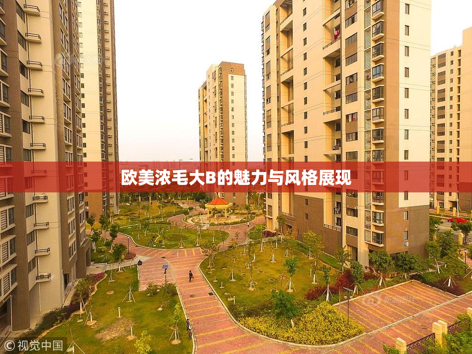 欧美浓毛大B的魅力与风格展现