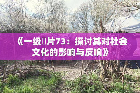 《一级婬片73：探讨其对社会文化的影响与反响》