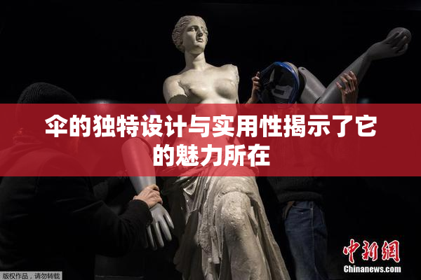 伞的独特设计与实用性揭示了它的魅力所在