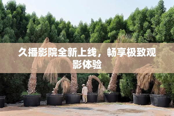 久播影院全新上线，畅享极致观影体验