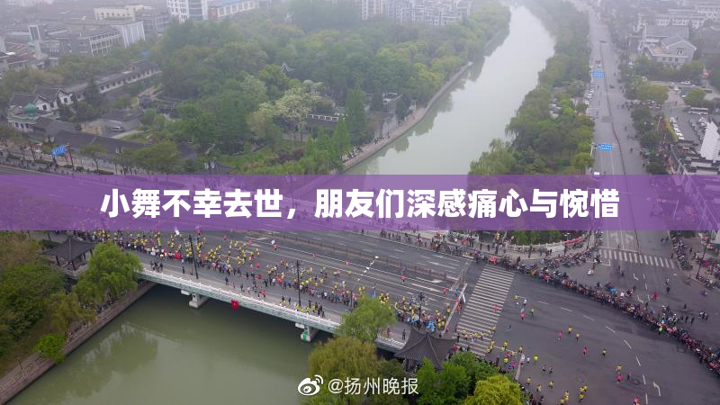 小舞不幸去世，朋友们深感痛心与惋惜
