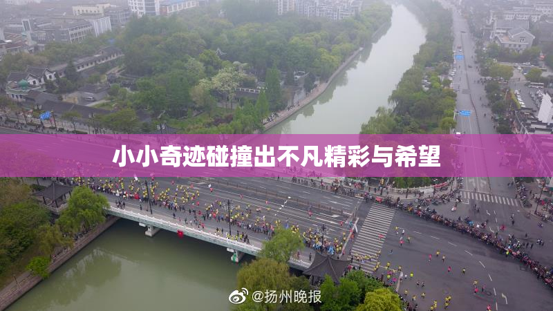 小小奇迹碰撞出不凡精彩与希望