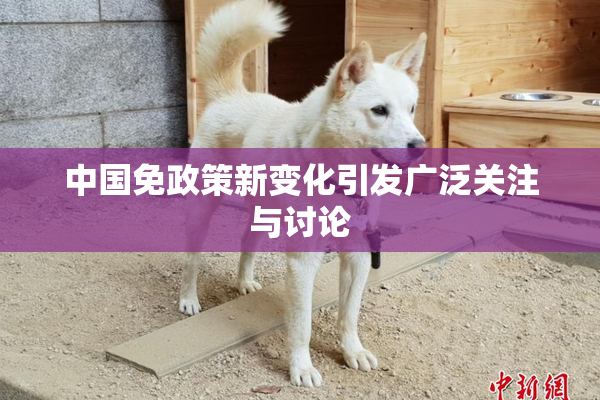 中国免政策新变化引发广泛关注与讨论