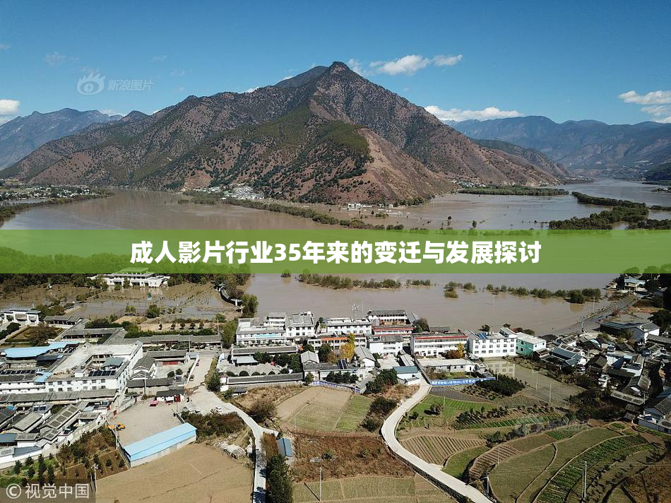 成人影片行业35年来的变迁与发展探讨