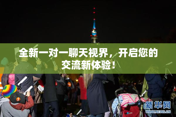 全新一对一聊天视界，开启您的交流新体验！