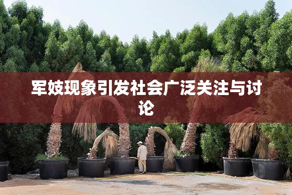 军妓现象引发社会广泛关注与讨论