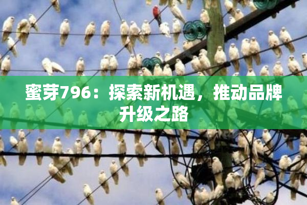 蜜芽796：探索新机遇，推动品牌升级之路